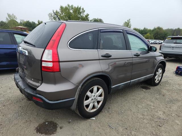 5J6RE48579L013835 - 2009 HONDA CR-V EX თაფლისფერი ფოტო 3