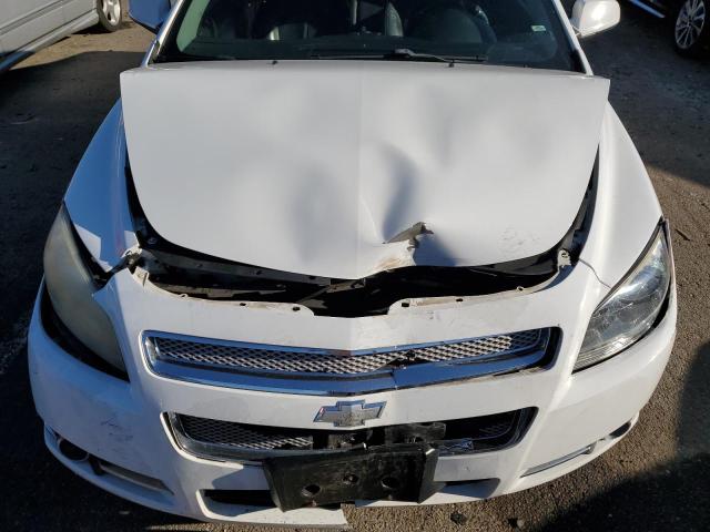 1G1ZE5EU8BF384569 - 2011 CHEVROLET MALIBU LTZ თეთრი ფოტო 11