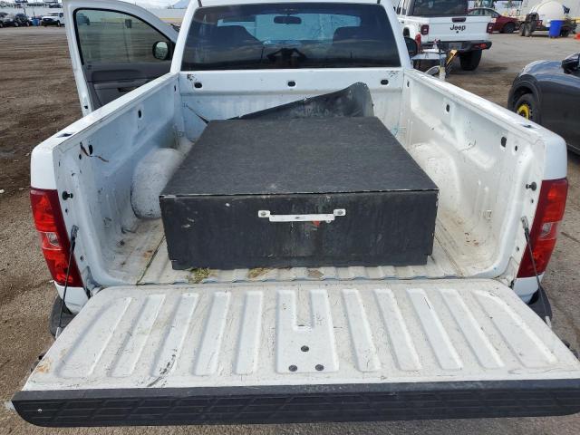 1GCNCPEX4DZ124558 - 2013 CHEVROLET SILVERADO C1500 Ağ foto 10