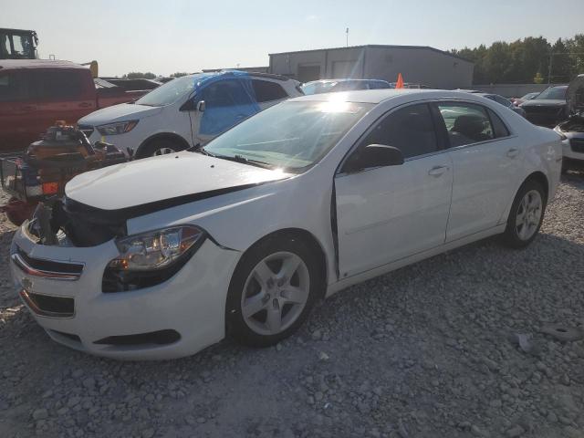 2010 CHEVROLET MALIBU LS, 