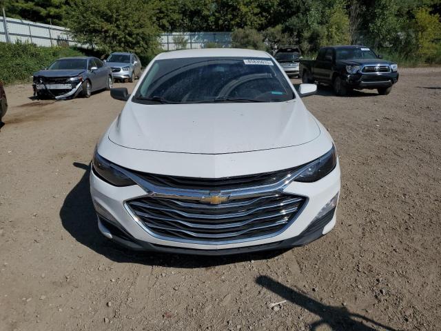 1G1ZD5ST4KF166529 - 2019 CHEVROLET MALIBU LT Blanc photo 5