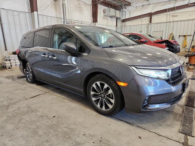 5FNRL6H79MB028468 - 2021 HONDA ODYSSEY EXL GRAY photo 4