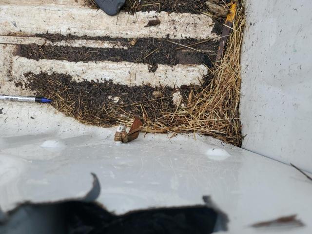 1GCNCPEX7DZ174144 - 2013 CHEVROLET SILVERADO C1500 Ağ foto 10