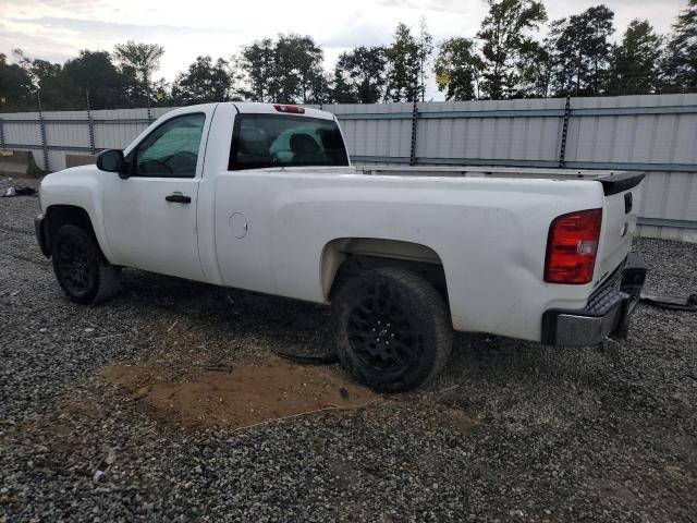 1GCNCPEX7DZ174144 - 2013 CHEVROLET SILVERADO C1500 Ağ foto 2