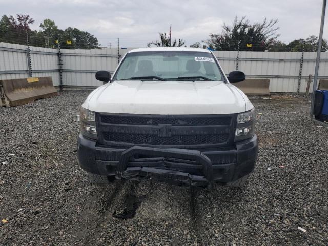 1GCNCPEX7DZ174144 - 2013 CHEVROLET SILVERADO C1500 Ağ foto 5