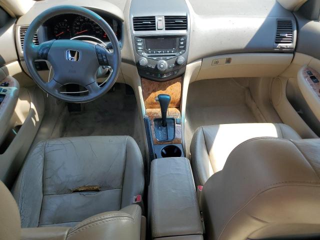 1HGCM66525A058752 - 2005 HONDA ACCORD EX 金色 照片 8