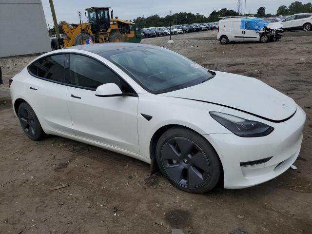 5YJ3E1EB8MF062431 - 2021 TESLA MODEL 3 Ağ foto 4