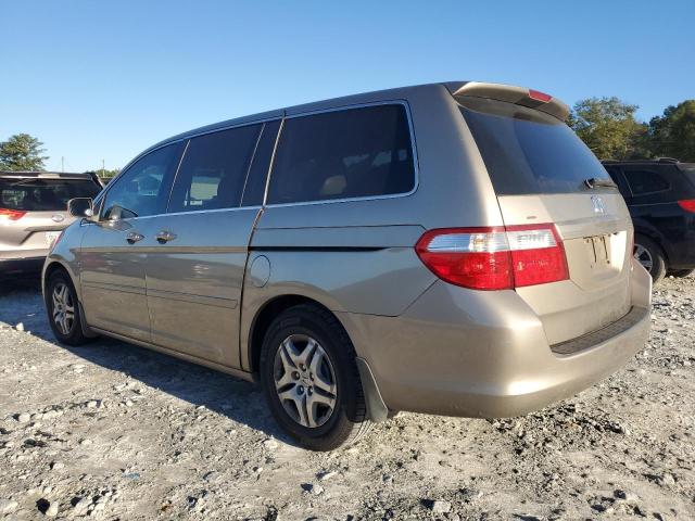 5FNRL38735B080596 - 2005 HONDA ODYSSEY EXL Світло-коричневий фото 2
