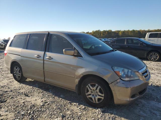 5FNRL38735B080596 - 2005 HONDA ODYSSEY EXL Світло-коричневий фото 4
