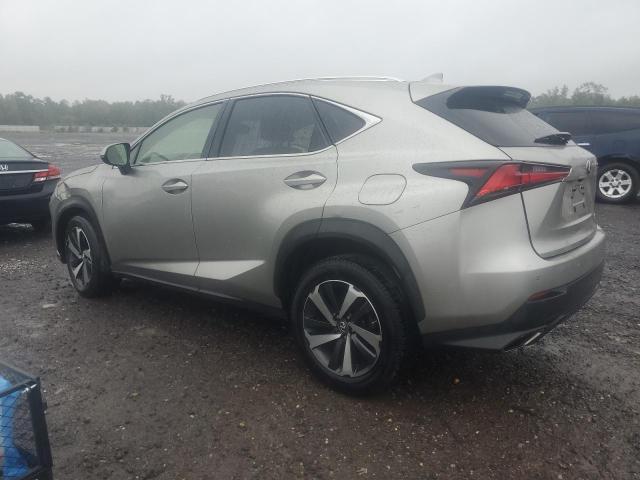 JTJBARBZ9K2211613 - 2019 LEXUS NX 300 BASE 银色 照片 2