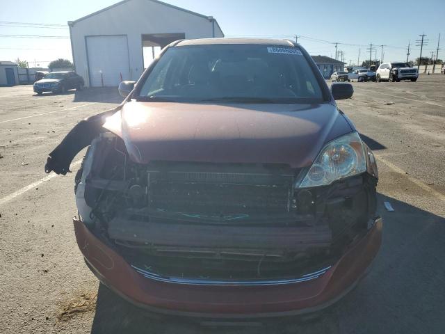 JHLRE48549C009069 - 2009 HONDA CR-V EX 勃艮第红 照片 5