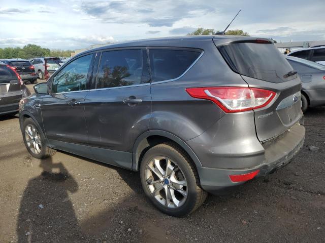 1FMCU9H96DUC95480 - 2013 FORD ESCAPE SEL 灰色 照片 2