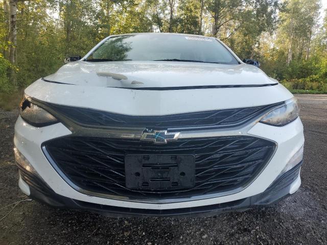 1G1ZD5ST5RF153587 - 2024 CHEVROLET MALIBU LT 白色 照片 5