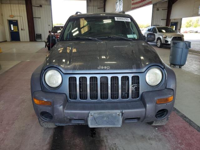 1J4GL48K52W279944 - 2002 JEEP LIBERTY SPORT BLUE photo 5