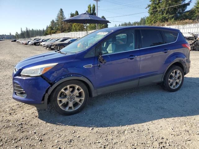2013 FORD ESCAPE SEL, 