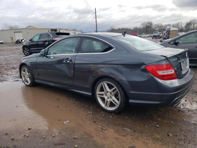 WDDGJ4HB3DG061029 - 2013 MERCEDES-BENZ C 250 GRAY photo 2