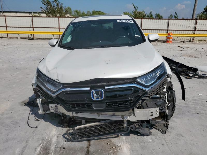 7FART6H82LE009241 - 2020 HONDA CR-V EXL 白色 照片 5
