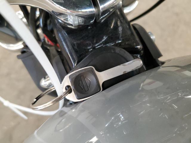 1HD1BVJ25RB054308 - 2024 HARLEY-DAVIDSON FXST Gümüş foto 8