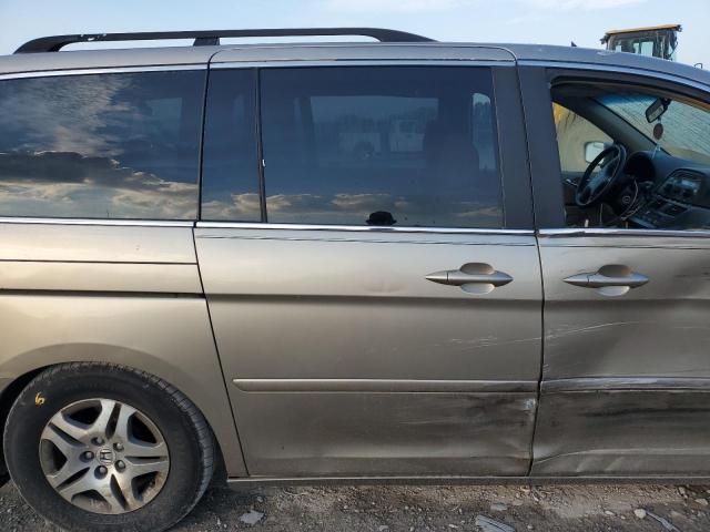 5FNRL384X5B400342 - 2005 HONDA ODYSSEY EX GOLD photo 11