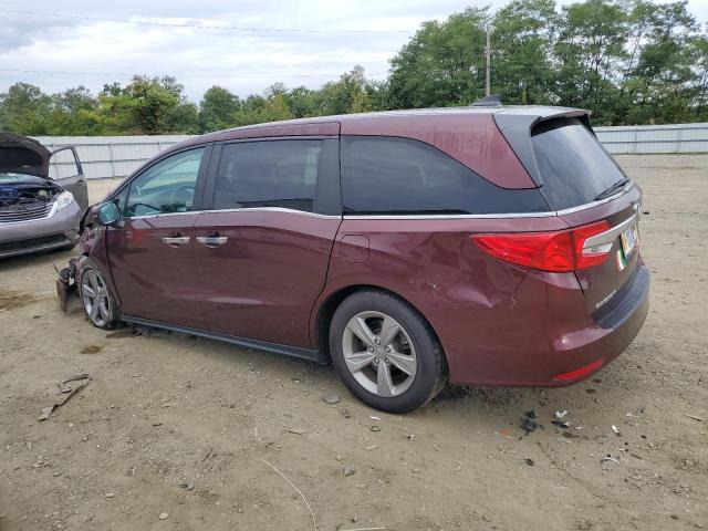 5FNRL6H53KB043057 - 2019 HONDA ODYSSEY EX MAROON photo 2