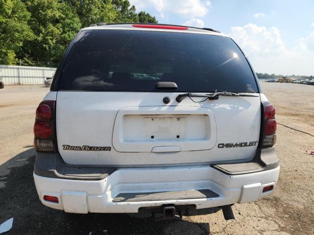1GNDS13S332222417 - 2003 CHEVROLET TRAILBLAZE WHITE photo 6