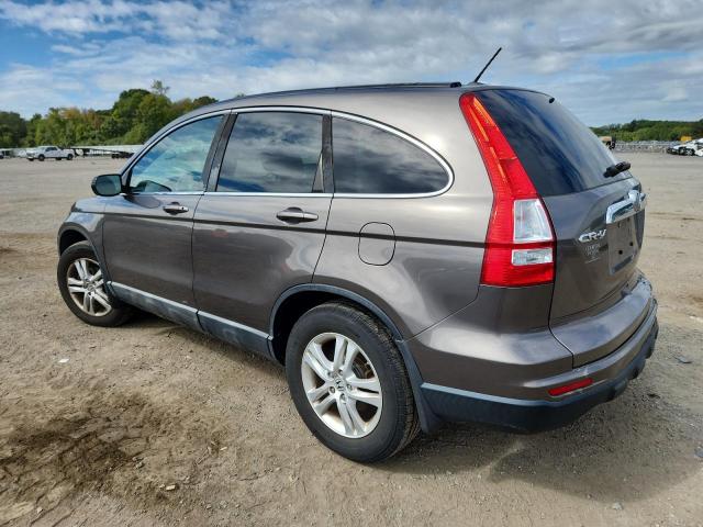 5J6RE3H76AL008089 - 2010 HONDA CR-V EXL GRAY photo 2