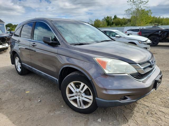 5J6RE3H76AL008089 - 2010 HONDA CR-V EXL GRAY photo 4