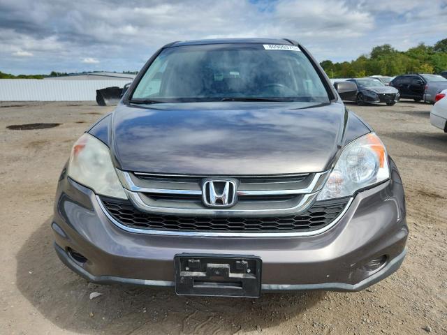 5J6RE3H76AL008089 - 2010 HONDA CR-V EXL GRAY photo 5