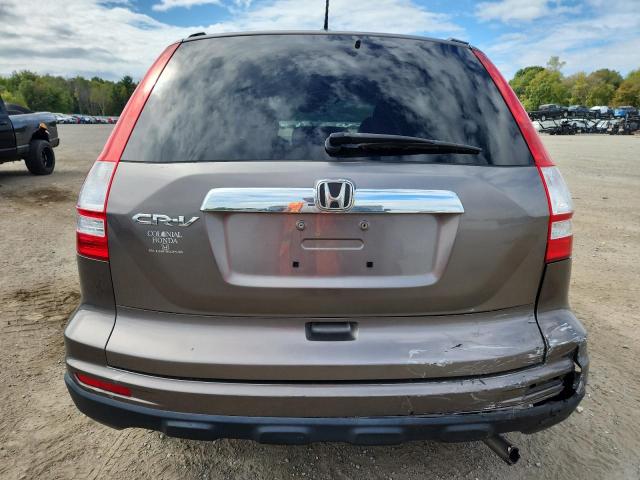 5J6RE3H76AL008089 - 2010 HONDA CR-V EXL GRAY photo 6