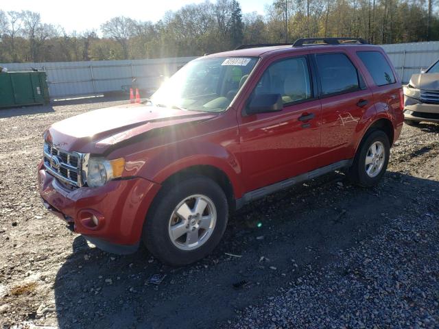 1FMCU0D72BKB63437 - 2011 FORD ESCAPE XLT RED photo 1