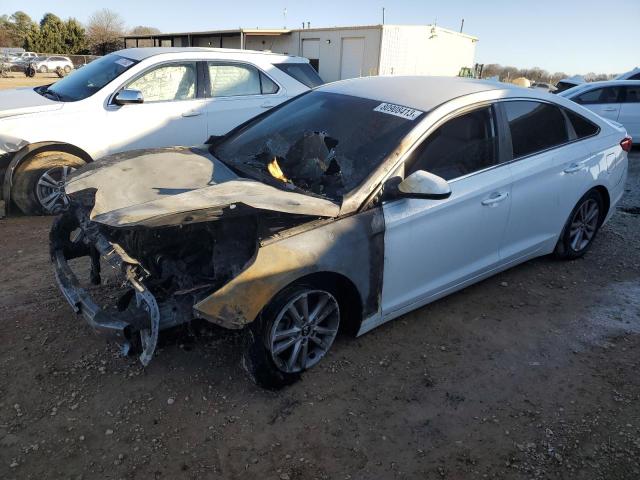 5NPE24AFXGH309711 - 2016 HYUNDAI SONATA SE WHITE photo 1