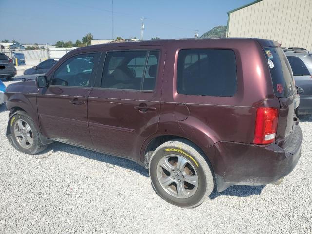 5FNYF3H56DB024281 - 2013 HONDA PILOT EXL BURGUNDY photo 2