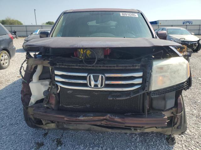5FNYF3H56DB024281 - 2013 HONDA PILOT EXL BURGUNDY photo 5
