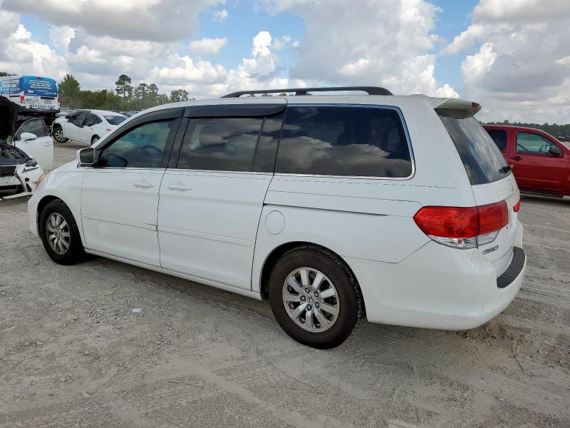 5FNRL38669B025265 - 2009 HONDA ODYSSEY EXL Ağ foto 2