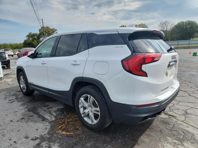 3GKALMEV8KL252435 - 2019 GMC TERRAIN SLE أبيض صورة 2