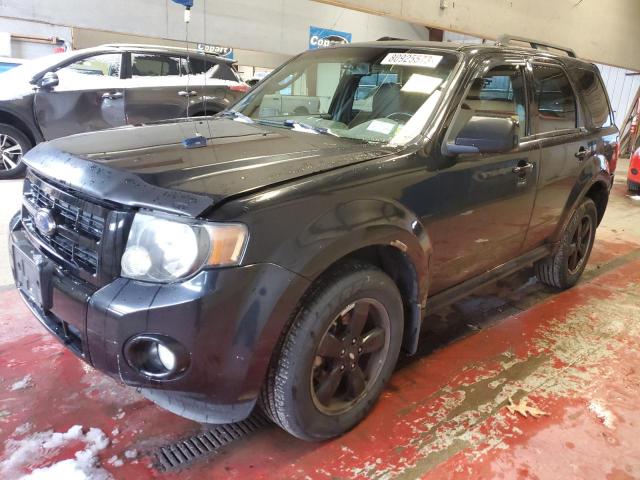 2009 FORD ESCAPE XLT, 