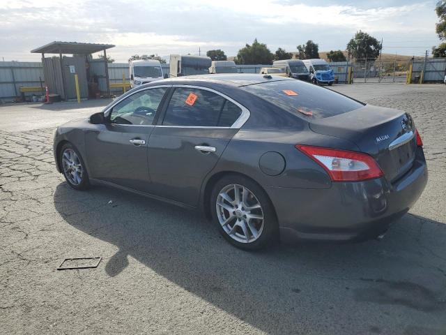 1N4AA51EX9C849921 - 2009 NISSAN MAXIMA S Boz foto 2