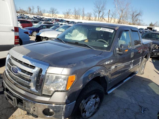 2010 FORD F150 SUPERCREW, 