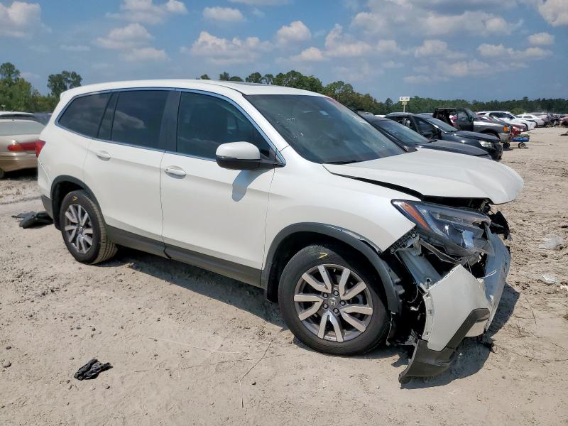 5FNYF5H56KB020126 - 2019 HONDA PILOT EXL Blanc photo 4