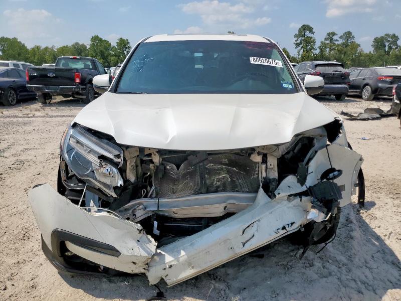 5FNYF5H56KB020126 - 2019 HONDA PILOT EXL Blanc photo 5