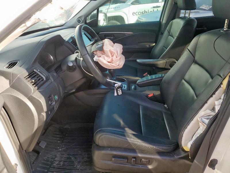 5FNYF5H56KB020126 - 2019 HONDA PILOT EXL Blanc photo 7