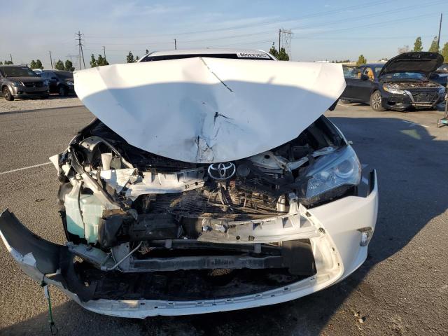 4T4BF1FK0GR570204 - 2016 TOYOTA CAMRY LE WHITE photo 5
