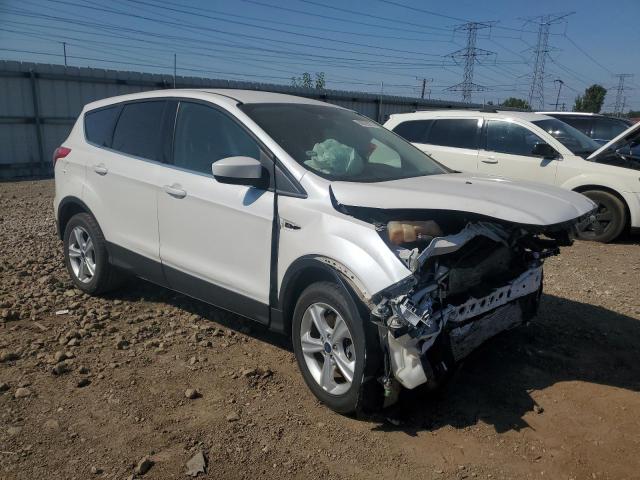 1FMCU9G97GUC07025 - 2016 FORD ESCAPE SE 白色 照片 4