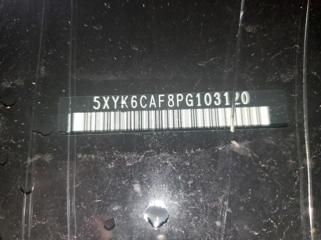 5XYK6CAF8PG103120 - 2023 KIA SPORTAGE X LINE BLACK photo 13