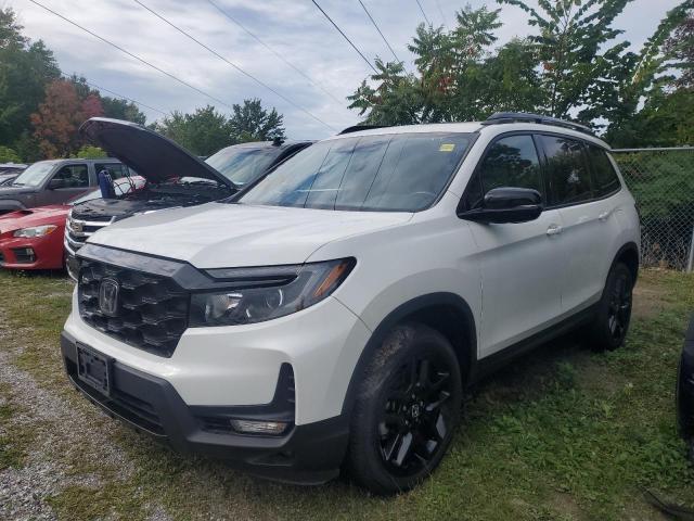 5FNYF8H00NB007902 - 2022 HOND PASSPORT ELITE WHITE photo 2