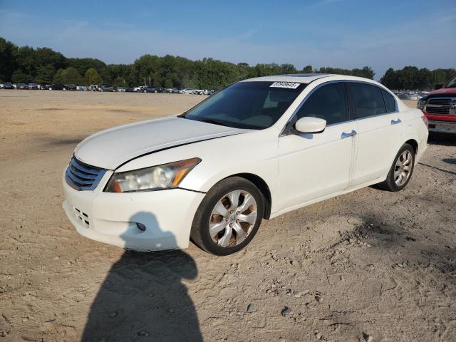 2009 HONDA ACCORD EXL, 