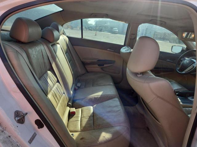 1HGCP36869A046643 - 2009 HONDA ACCORD EXL WHITE photo 10
