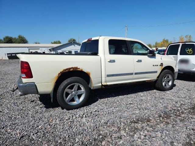 1D7RV1CT3AS227263 - 2010 DODGE RAM 1500 奶油色 照片 3