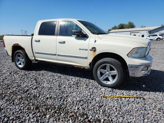 1D7RV1CT3AS227263 - 2010 DODGE RAM 1500 奶油色 照片 4