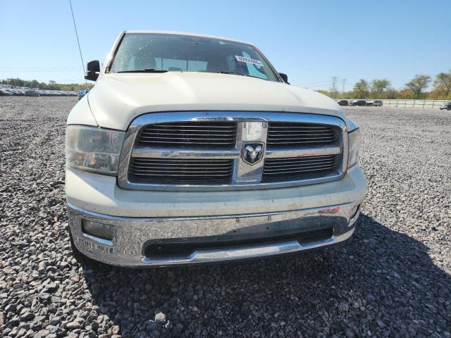 1D7RV1CT3AS227263 - 2010 DODGE RAM 1500 奶油色 照片 5